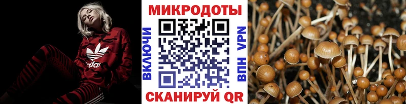 Галлюциногенные грибы мицелий  Майский 