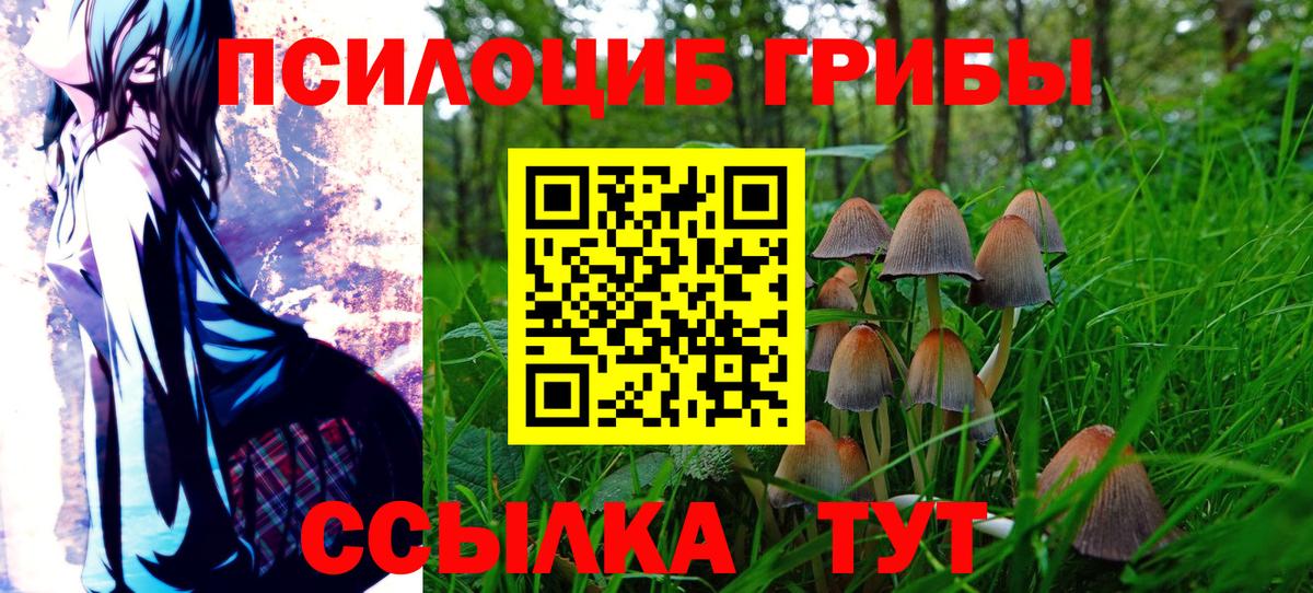 Псилоцибиновые грибы GOLDEN TEACHER Майский